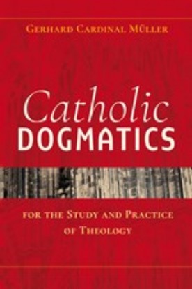 Picture of Catholic Dogmatics for the Study and Practice of Theology